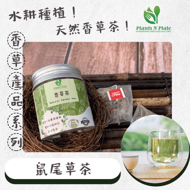 【自家製】香草茶 (鼠尾草茶)